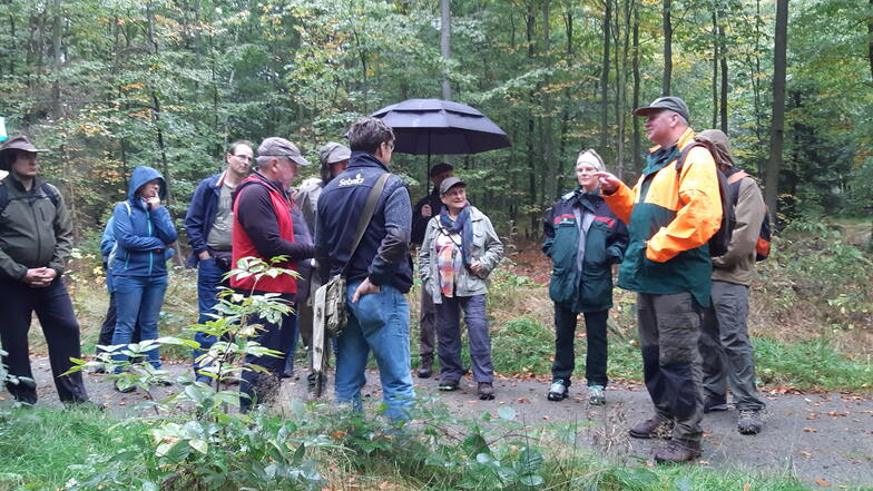 Revierleiter Frank Wagner (rechts) erklärt den Teilnehmern, wie der Waldumbau im Hohnsteiner Staatswald funktioniert.