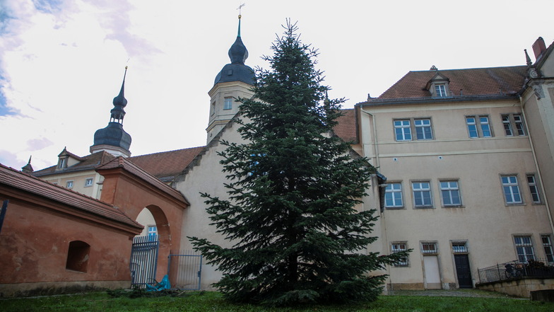 Etwas mehr als zehn Meter dürfte Riesas aktueller Weihnachtsbaum groß sein. Eine Lichterkette kommt am Donnerstag dran.