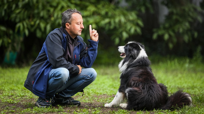 Tierpsychologe Axel Reichert mit seinem Hund Henry, sechs Jahre alt. Der Australian Shepherd ist ein Wirbelwind, aber sein Herrchen hat ihn im Griff.