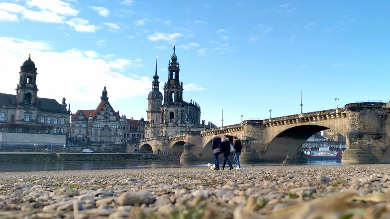 Das Frühjahr war auch in Dresden viel zu trocken. Das hat Einfluss auf das ganze Jahr.