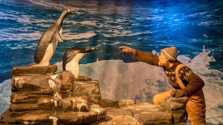 Ein isländischer Fischer greift nach zwei Riesenalken. Sie lebten anders als die Pinguine auf der Nordhalbkugel. 1844 wurden die letzten Exemplare getötet.