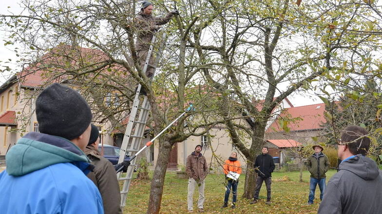 Ein früheres Seminar „Obstbaumschnitt auf Streuobstwiesen“ im Pfarrgarten Wildenhain.