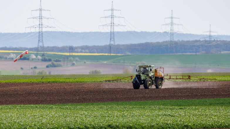 Bund und Länder besiegeln Verkaufsstopp ostdeutscher Agrarflächen