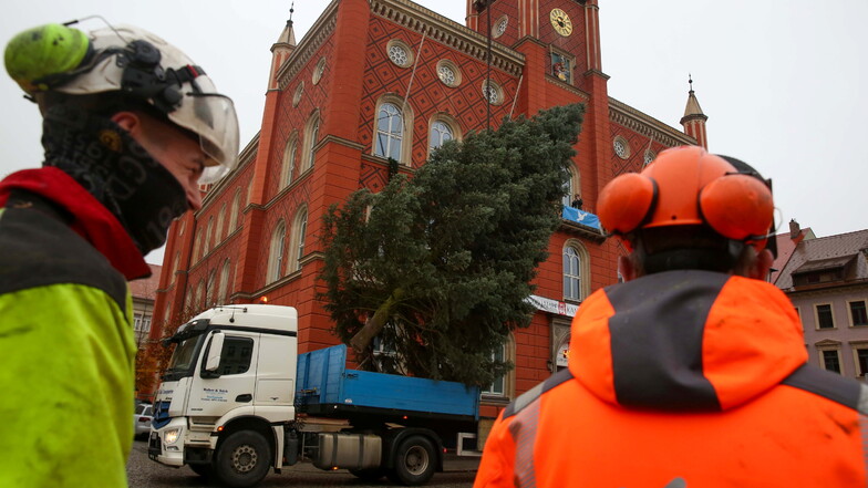 Vorsichtig wird der Baum per Kran vom Laster gehoben.