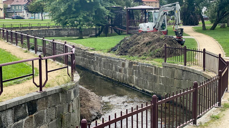 Besserer Schutz vor Hochwasser an der Spree in Ebersbach: Das raten Experten
