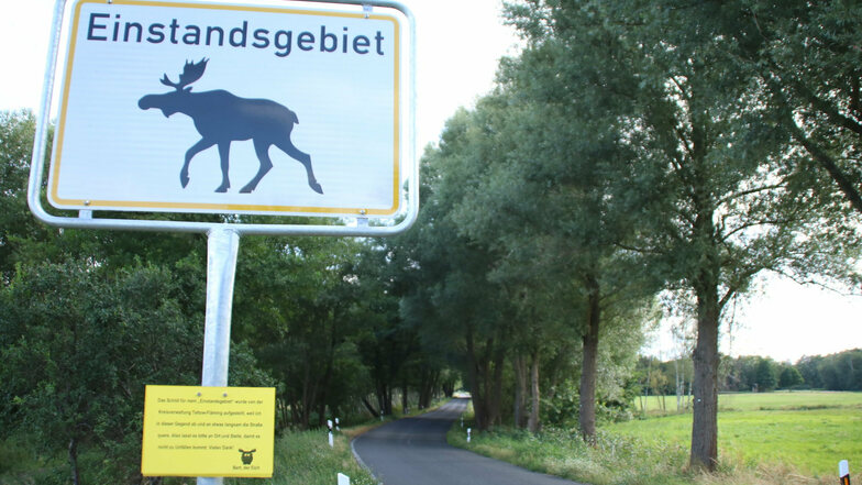 An einer Straße in Brandenburg steht ein Schild zur Warnung von Elchen.
