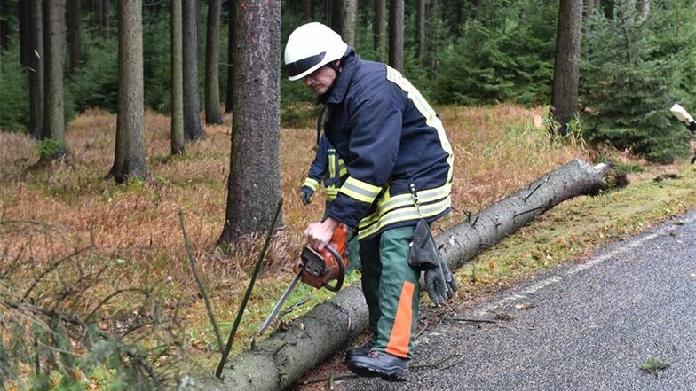 Zehntausende Bäume wurden am Sonntag durch Sturmtief Herwart entwurzelt. Die Forstbezirke im Landkreis rechnen mit gewaltigen Schäden. Besonders schlimm wurde das Osterzgebirge getroffen. Auf dem Foto beräumen Feuerwehrleute die Straße in Oberbärenburg.