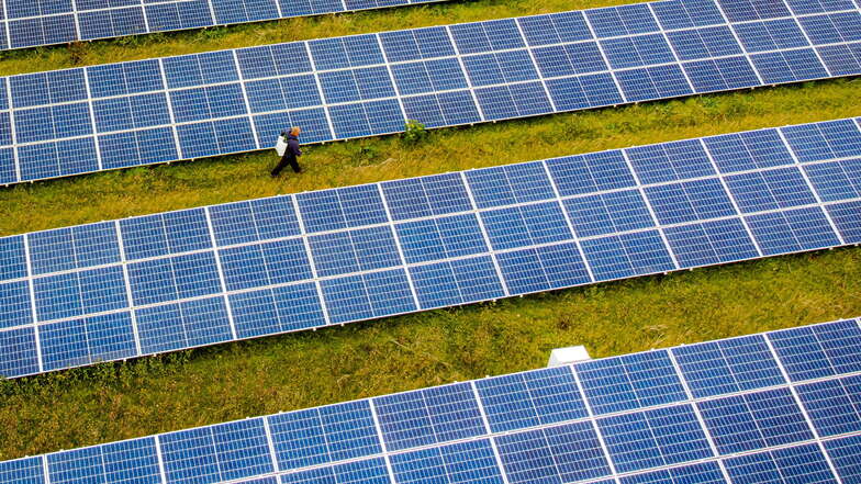 Ein Solarfeld soll in Seifhennersdorf entstehen.
