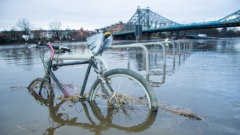 Rechts der Elbe geht für Radfahrer über weite Strecken nichts mehr. Nicht nur am Blauen Wunder, sondern auch in der Innenstadt ist der Elberadweg auf dieser Seite überflutet.