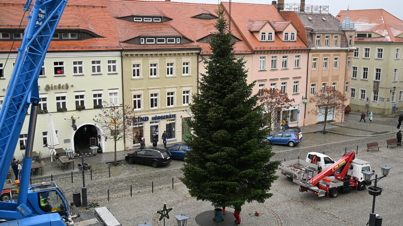 Hier schwebt der aktuelle Weihnachtsbaum von Kamenz gerade am Haken eines Kranes der Firma Felbermayr. Anschließend wurde er in die Kapsel auf dem Markt eingelassen. Die Beleuchtung wird am Dienstag angebracht.