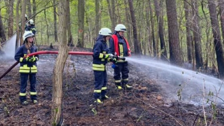 Feuerwehrleute löschen den Waldbrand bei Koselitz.