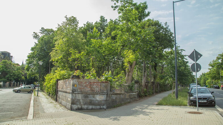 Der alte Sportplatz befindet sich auf dem Dreiecks-Grundstück zwischen Mühlweg (links), Dr.-Kahlbaum-Allee (rechts) und dem Ständehaus (nicht im Bild).