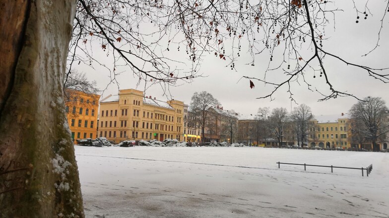 Wilhelmsplatz in Görlitz in Weiß. Und mit vielen Fußstapfen und Pfotenabdrücken. Offenbar nutzen viele das Wetter am Morgen für einen Spaziergang im Schnee.