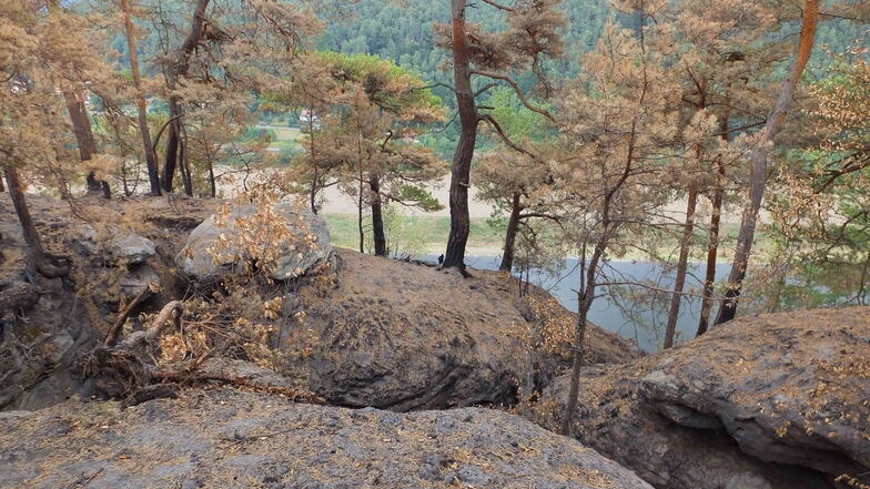 Plateau in Elbnähe im August 2018: Das Feuer ließ nur den nackten Felsen zurück.