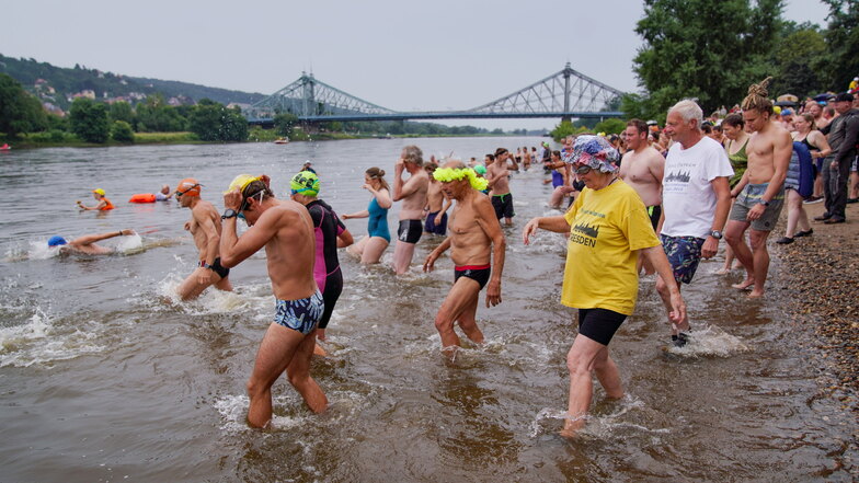 Ab in die Elbe: Hunderte Badelustige sind am Sonntagvormittag am Blauen Wunder zum Elbeschwimmen ins Wasser gestiegen.