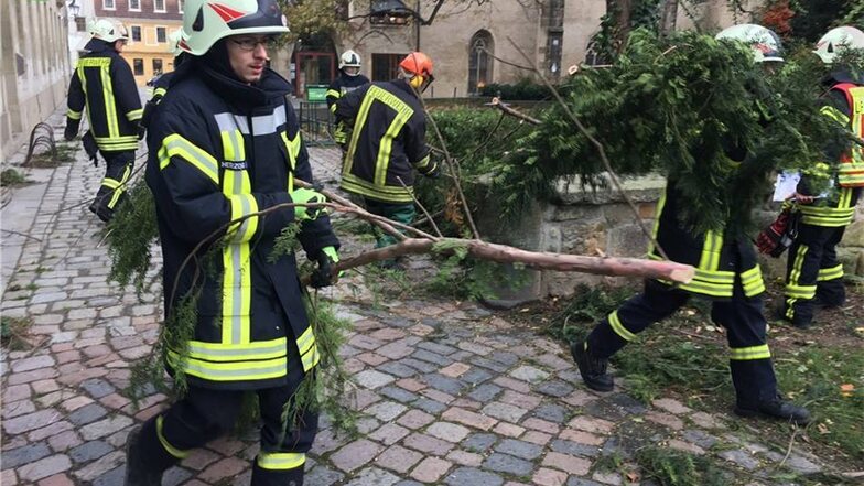 Mitten in der Pirnaer Innenstadt musste die Feuerwehr am Klosterhof heruntergebrochene Äste beräumen. Nur einer von zahlreichen Einsätzen.