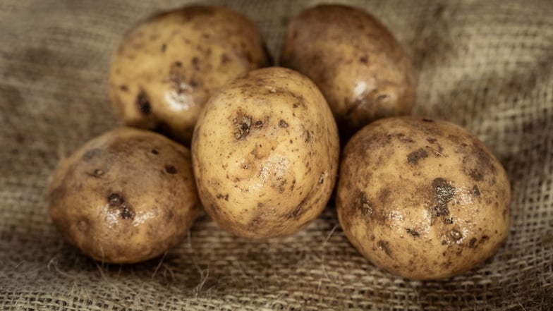 Etwa 60 Kilogramm Kartoffeln haben zwei  Ostrauer in Jahnatal von einem Feld geklaut und waren erwischt worden. Jetzt mussten sie sich dafür vor Gericht verantworten.