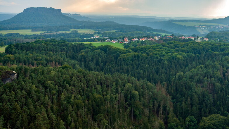 Klimawandel bedroht Nationalpark Sächsische Schweiz