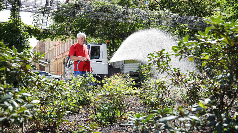 Willkommene Dusche: Helmut Kümmel gießt im Auftrag der Stadttochter AGV ein Rosen- und Rhododendronbeet am Puschkinplatz. Den 1.800-Liter-Tank muss er mehrmals am Tag nachfüllen.