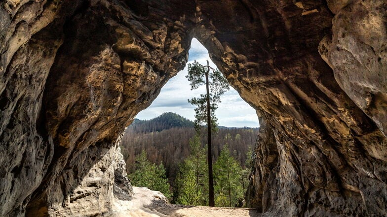 Besucher aus aller Welt kommen gerade wegen der unberührten Natur in die Sächsische Schweiz, sagen Unterstützer des Nationalparks.