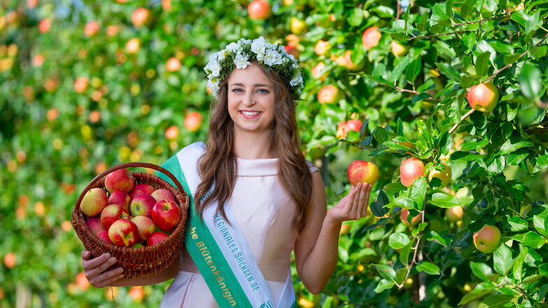Warum Äpfel aus Sachsen diesmal seltener sind - und was sie kosten