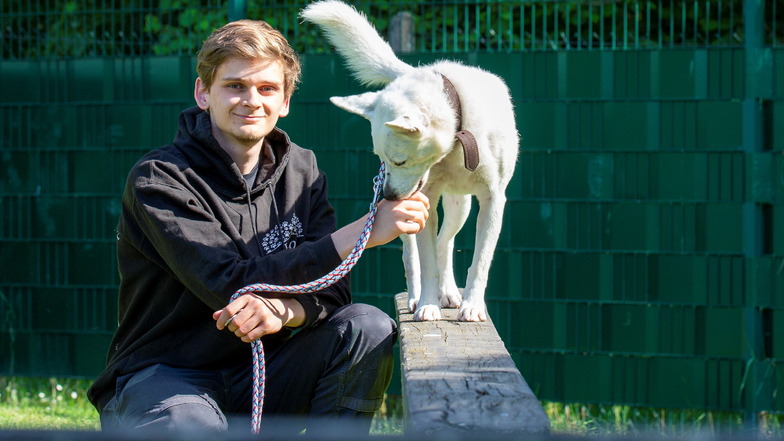 Leon Geburek macht eine Ausbildung zum Tierpfleger im Tierheim Pirna. An seiner Seite ist Hund Timmy.