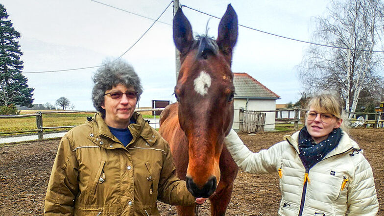 Kassenwartin Gabriele Pommerenke (l.) und die zweite Vorsitzende Romy Menzer mit Pferd Hope auf dem Auslaufplatz: Für das nächste Erneuerungsprojekt des Reitvereins Quatitz suchen sie wieder Unterstützer.