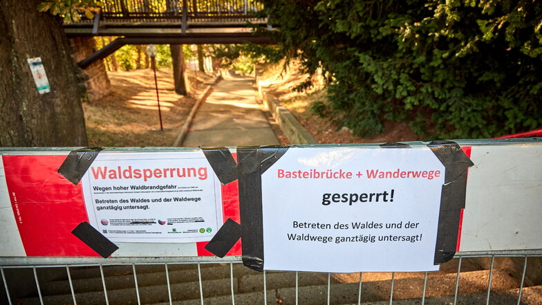 Sächsische Schweiz: Was aus den Waldbrandhilfen geworden ist