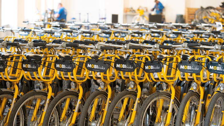 1.300 gelbe Leihfahrräder halten die DVB bereit. 15 davon gehören jetzt nach Langebrück.