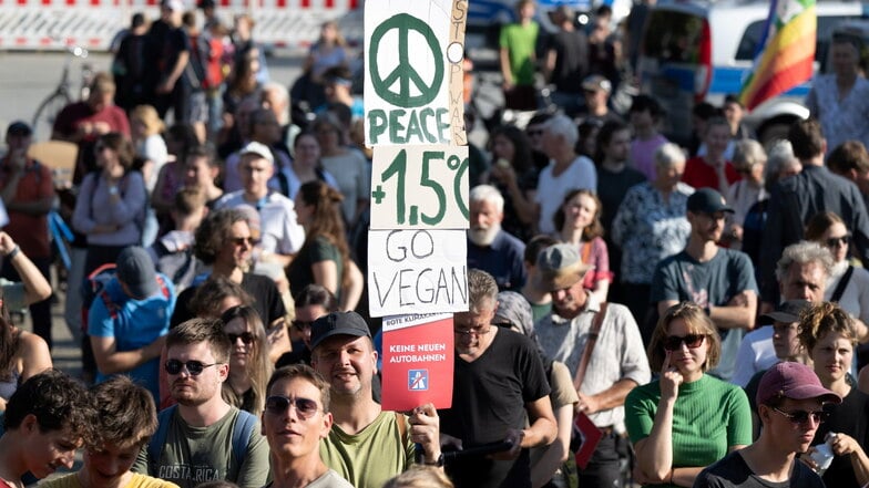 Mehr als 1.000 Menschen sind am Freitagnachmittag beim Klimaprotest von Fridays for Future in Dresden unterwegs.