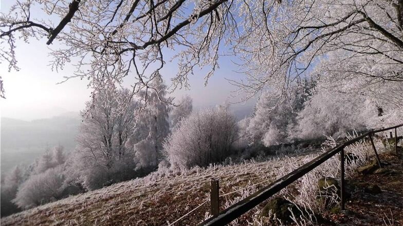 Weiß ummantelt Weiß, ja weiß sind alle diese Bäume. Der Raureif-Mantel, der sich um jeden einzelnen Ast und jeden Grashalm gelegt hat, lässt die Landschaft am Wachberg in Saupsdorf fast mystisch erscheinen. Festgehalten wurde diese Stimmung von Brigitte Heeg bei ihrem Neujahrsspaziergang.