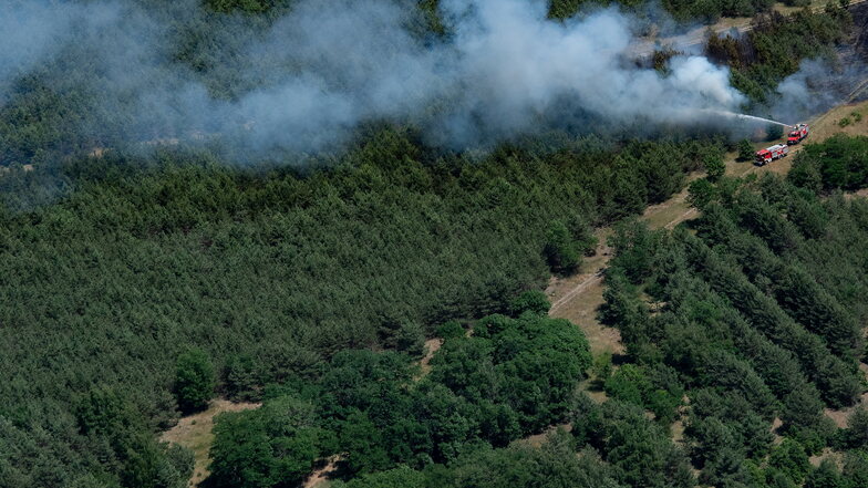 Vor einem reichlichen Monat hat es einen großen Waldbrand in Brandenburg gegeben. Auch die Dresdner Heide ist von Bränden in diesem Sommer nicht verschont worden.