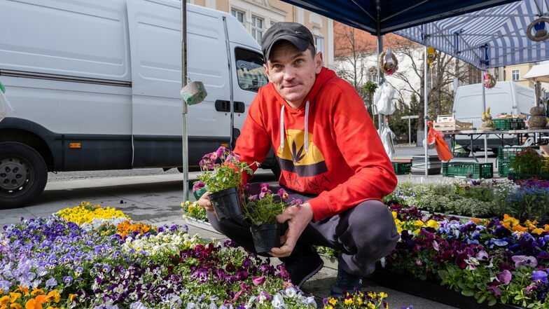 Michau Rigiel präsentiert Blumen auf dem Markt auf dem Marienplatz in Görlitz. Er ist Mitarbeiter von Kamil Wojcik, der selbst nicht aufs Foto wollte.