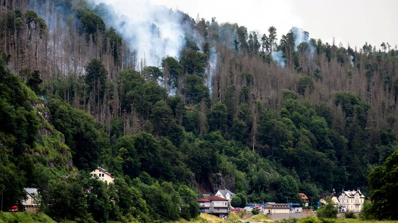 Blick auf die Rauchsäulen im Nationalpark Sächsische Schweiz in Schmilka