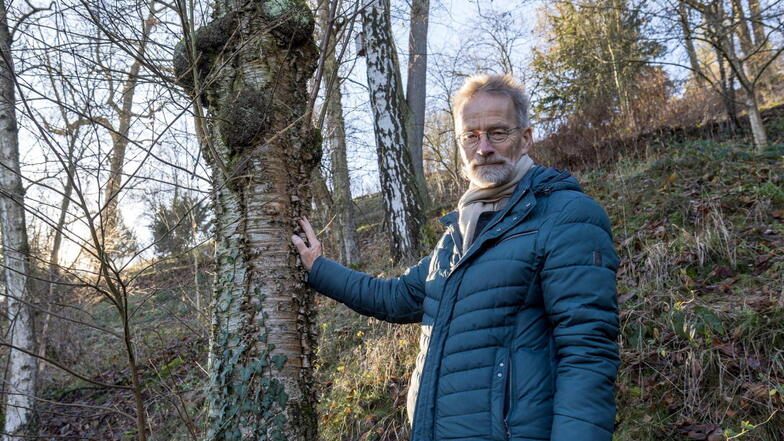 Andreas Roloff an der schönsten Moorbirke des Tharandter Forstgartens. Selbst in der Sammlung der Forstwissenschaftler ist der Baum ziemlich selten.