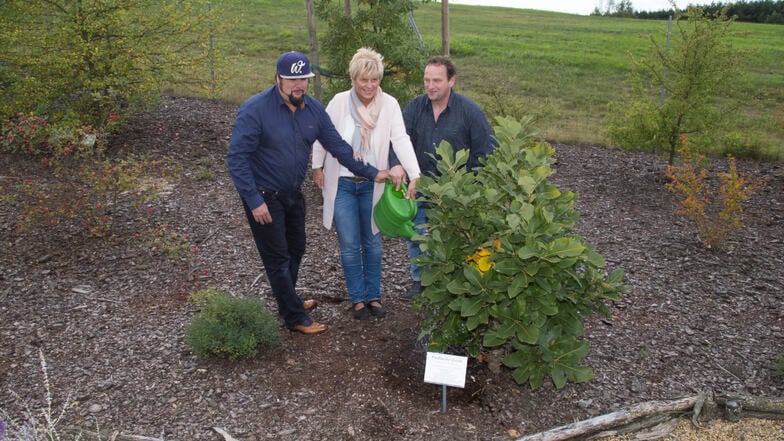 Im Findlingspark Nochten haben viele Bäume Paten. Im Jahr 2017 übernahmen die Preisträger des Tourismuspreises, André Böhme, Martina Taubmann und Tino Kittner, die Patenschaft über eine Pontische Eiche.