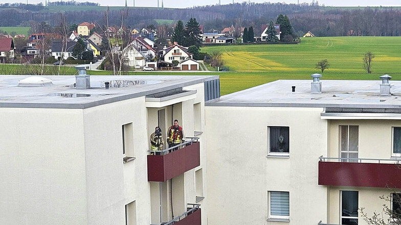 Eine Taube wurde von den Kameraden der Berufsfeuerwehr Görlitz am Sonntagmorgen aus einem Netz vor einem Balkon im vierten Stock befreit.