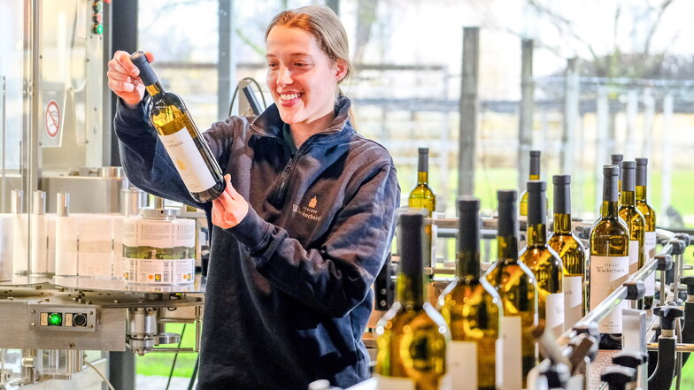 Der erste Wein des Jahrgangs 2023 kommt auf Schloss Wackerbarth in die Flaschen