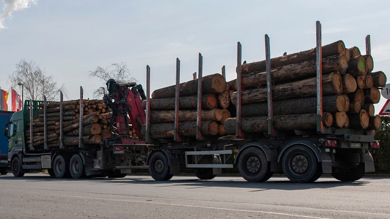 Holztransport auf A4 um zwölf Tonnen überladen