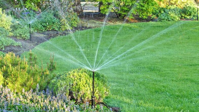 Regen auf Knopfdruck: Eine automatische Bewässerung dosiert das Nass im Garten genau nach Bedarf.