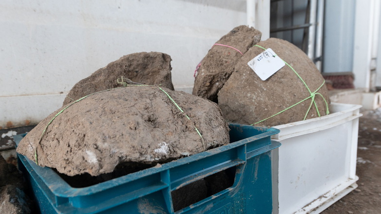Das sind die geborgenen Teile von gewaltigen steinernen Kanonenkugeln, die die Archäologen entdeckt haben.