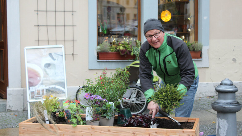 Olaf Haase von den Bautzener Stadtbegrünern  bepflanzte am Freitagvormittag ein Hochbeet vor dem Eine-Welt-Laden am Fleischmarkt.