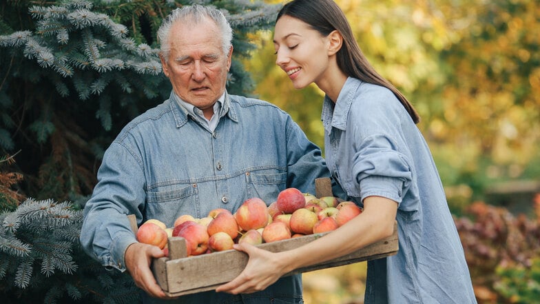 Herbstzeit ist Lohnmostzeit: Tauschen Sie Ihr Obst gegen Saft!