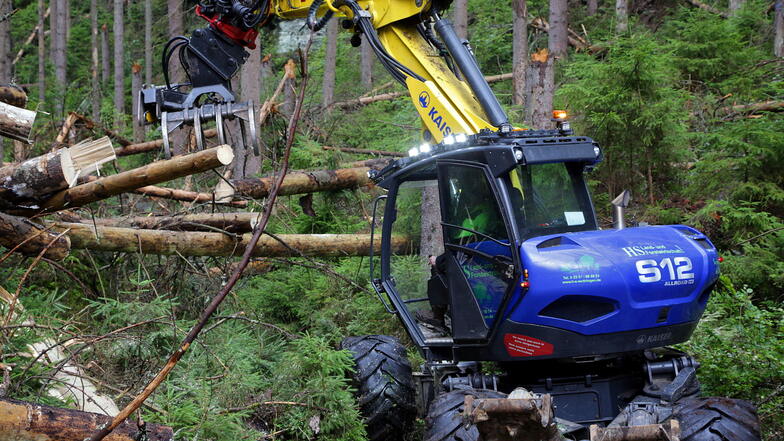 Der Schreitbagger verfügt über eine speziell verstärkte Kabine zum Schutz des Fahrers vor umbrechenden Bäumen.