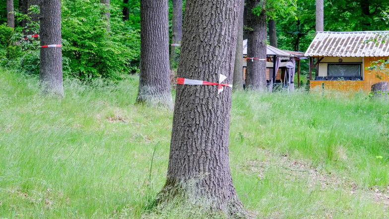 Moritzburg will Campingplatz am Waldteich neu ausschreiben