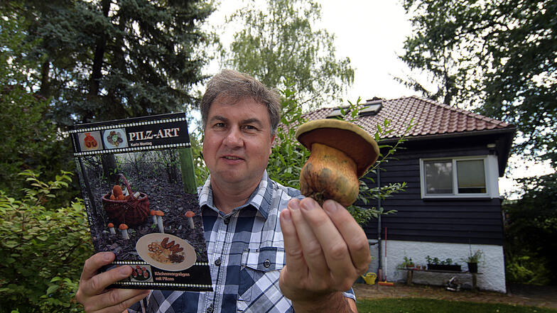 Pilzberater Stefan Lorenz aus Niederstriegis mit einem mit einem Netzstieligen Hexenröhrling, den er in seinem Garten auch jetzt schon regelmäßig findet. Er beweist damit, dass es immer Pilze gibt, auch wenn es tageweise viel zu heiß ist.