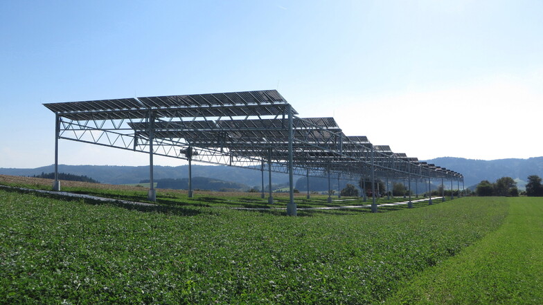 Bisher gibt es in Glashütte kein grünes Licht zum Bau von Agri-Fotovoltaik-Anlagen. Diese Pilotanlage steht auf dem Gelände der Demeter-Hofgemeinschaft in Heggelbach (Bodensee-Region). Im Jahr erzeugt sie so viel Strom, um 62 Haushalte versorgen zu können
