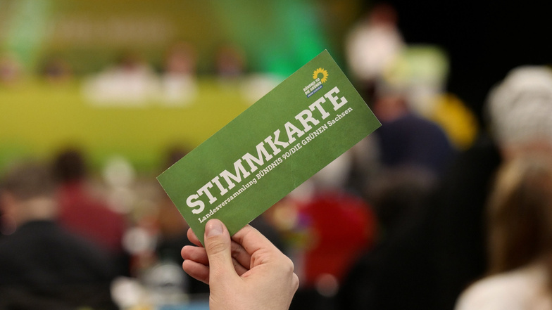 Im Mittelpunkt des Parteitages in Chemnitz steht der Beschluss des Landtagswahlprogrammes für die Landtagswahl 2019.