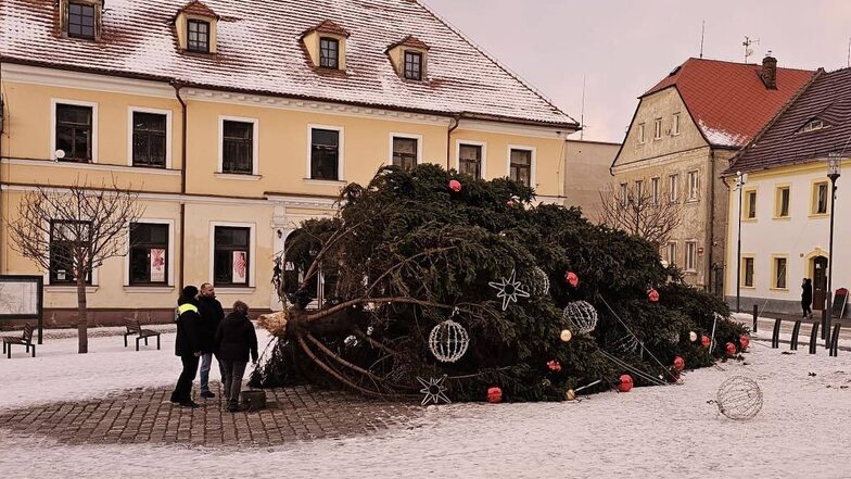 Der Hradeker Weihnachtsbaum - vom Winde verweht