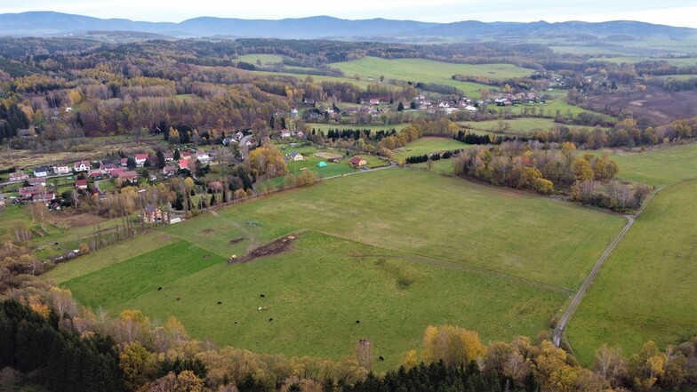 Der Absturzort heute: eine Weide westlich des Dorfes Minkowitz in Tschechien.